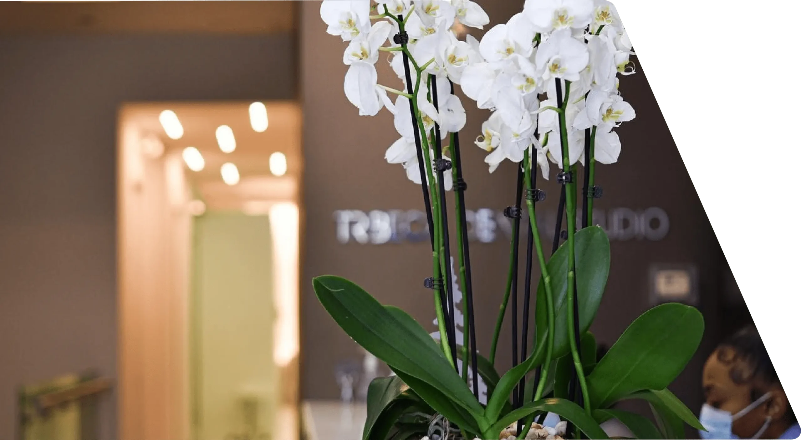 Tribeca Dental Studio About